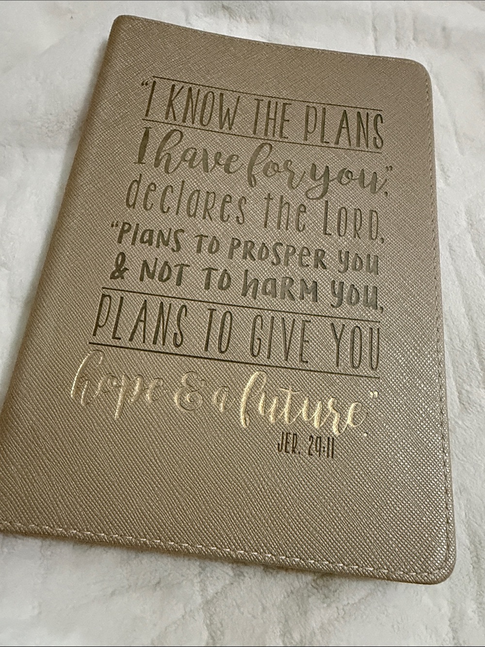 Scripture Journal Notebook in Champagne Gold